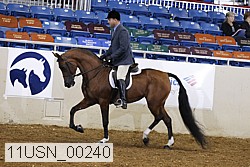 11usn_00240 proof