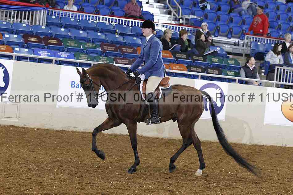 Proof 11usn_00241