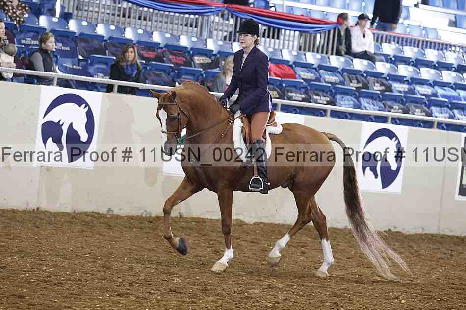 Proof 11usn_00242