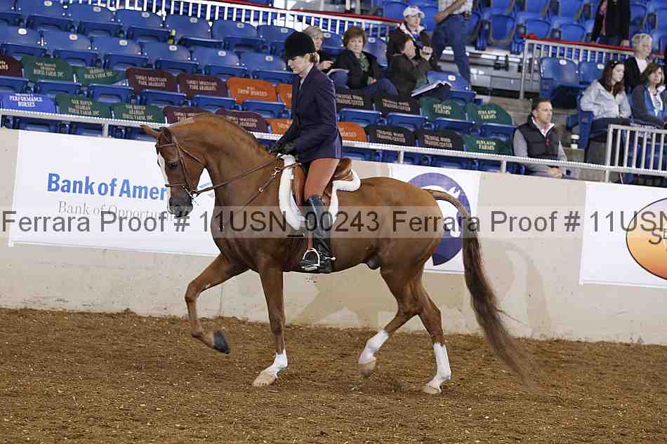 Proof 11usn_00243