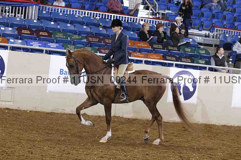 Proof 11usn_00244