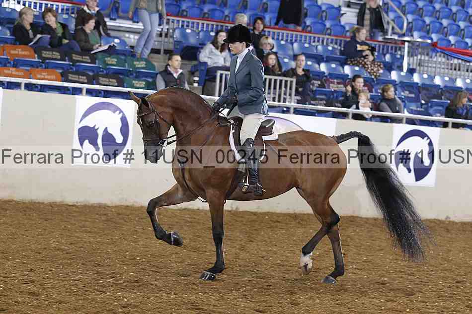 Proof 11usn_00245