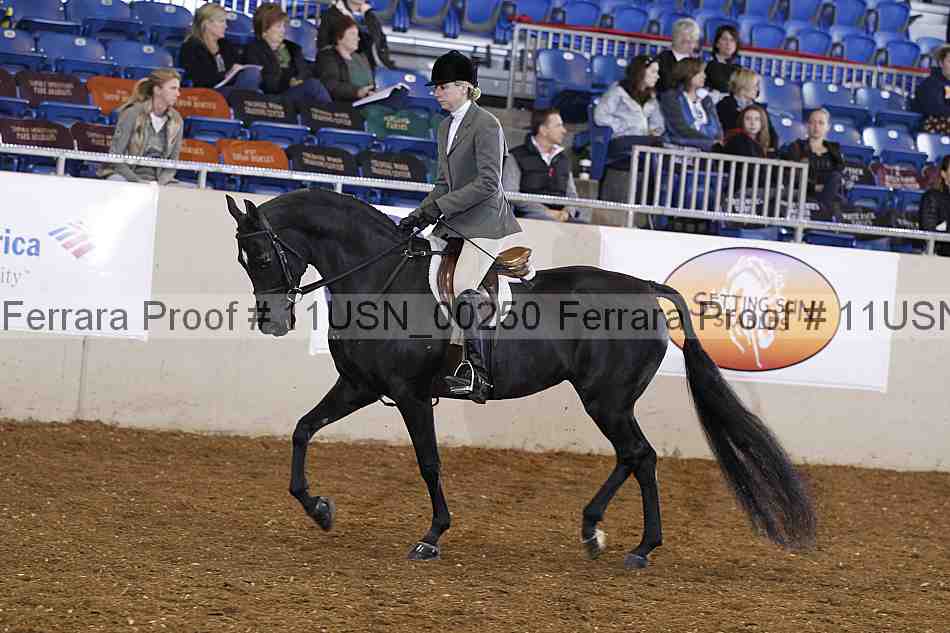 Proof 11usn_00250