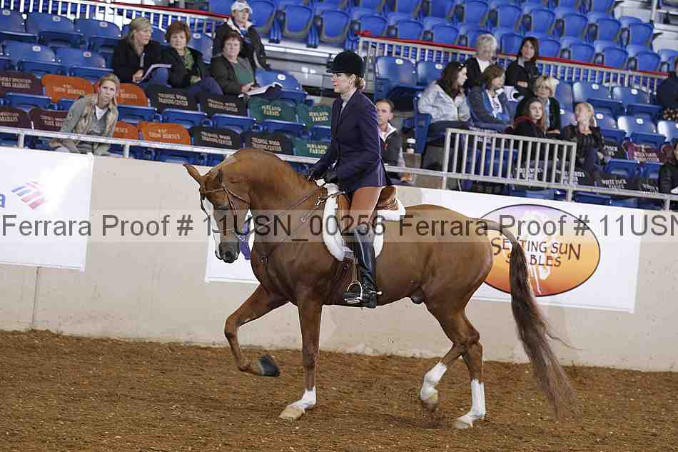 Proof 11usn_00256