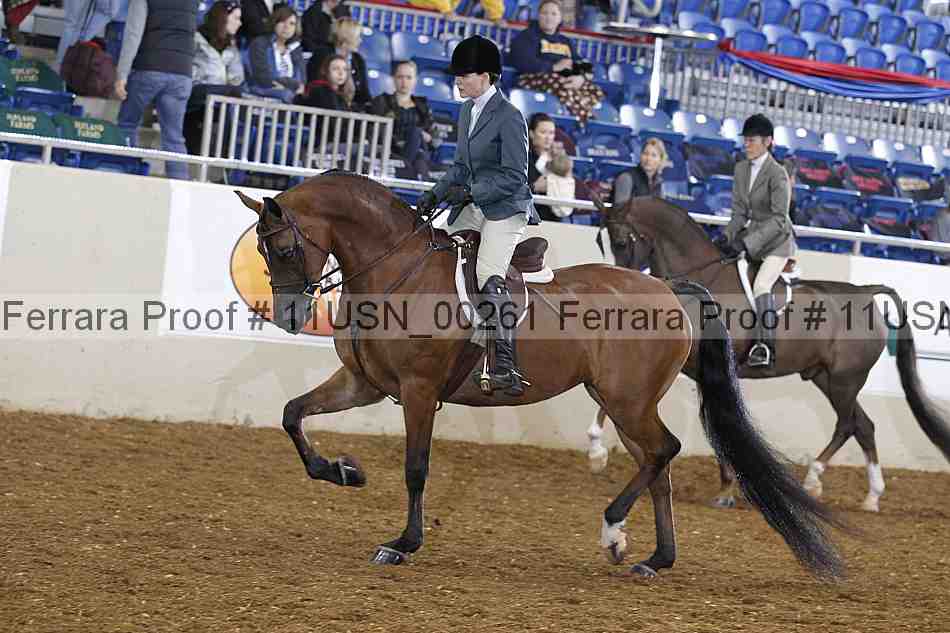 Proof 11usn_00261