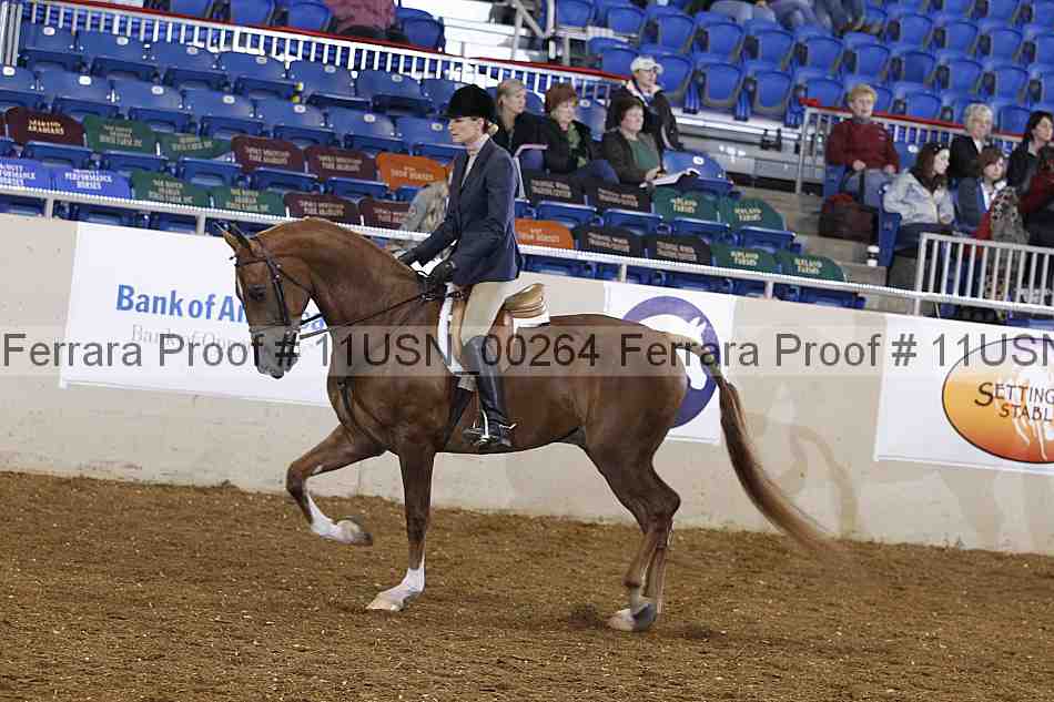 Proof 11usn_00264