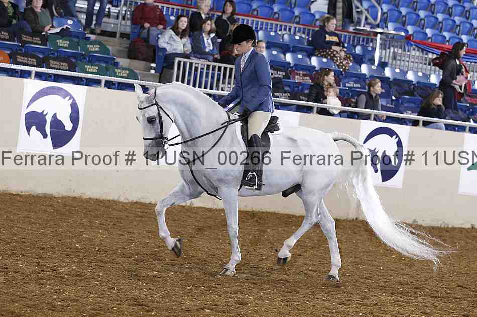 Proof 11usn_00266