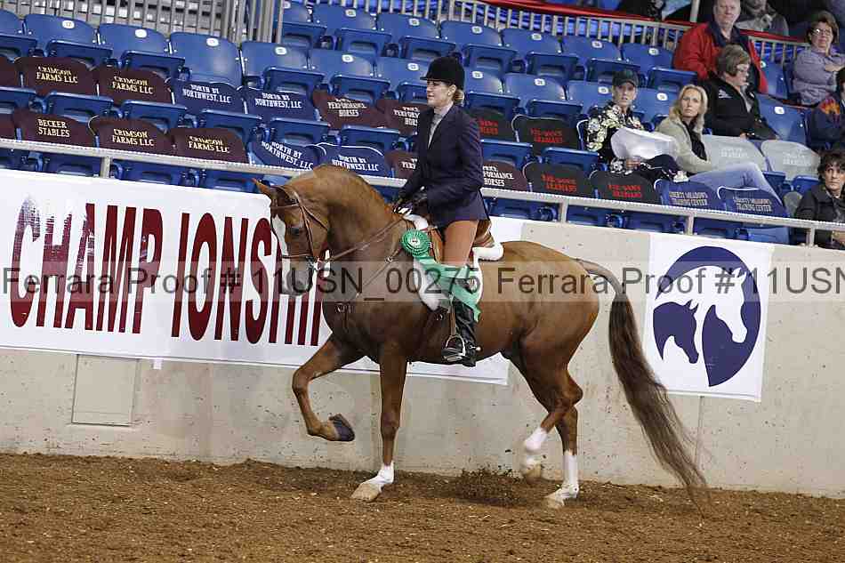 Proof 11usn_00275