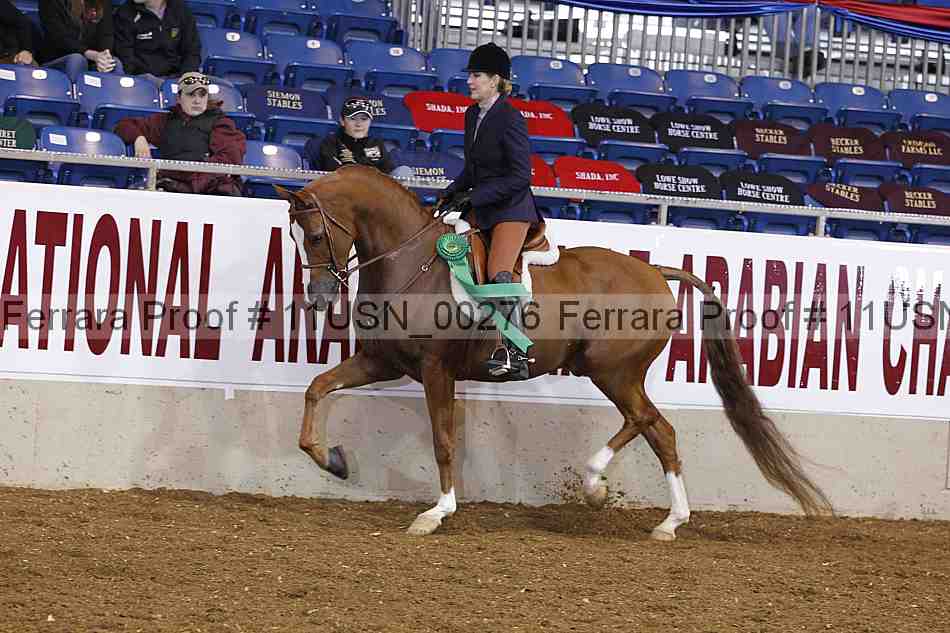 Proof 11usn_00276
