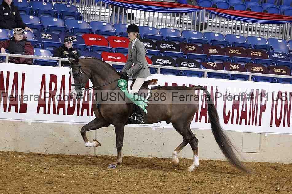 Proof 11usn_00286