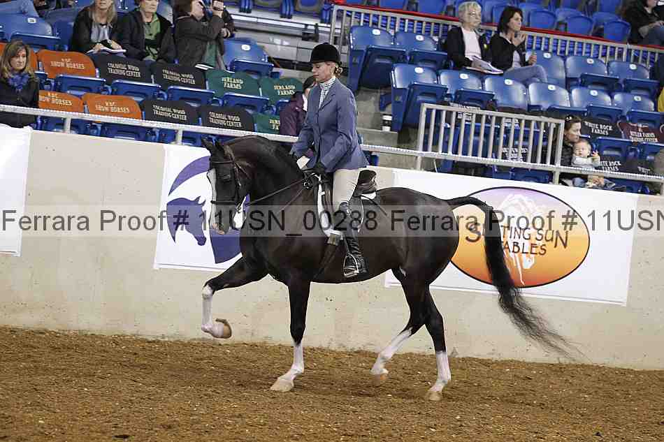 Proof 11usn_00288