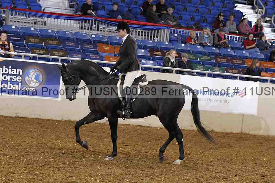 Proof 11usn_00289