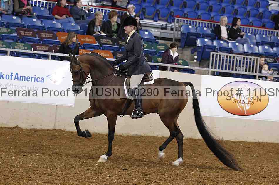 Proof 11usn_00290