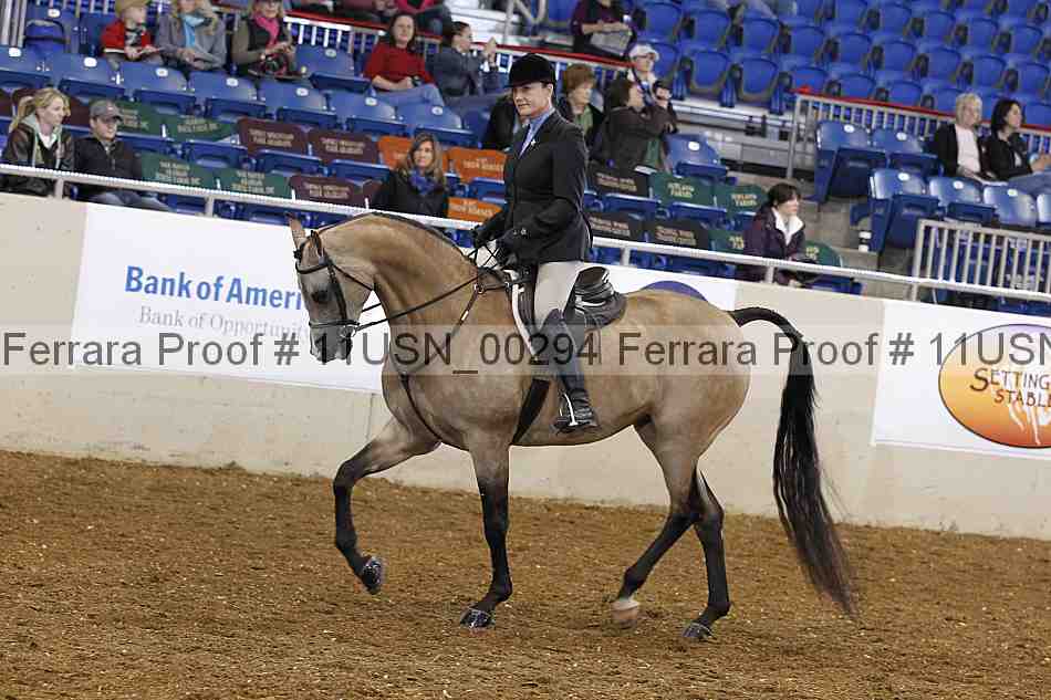 Proof 11usn_00294