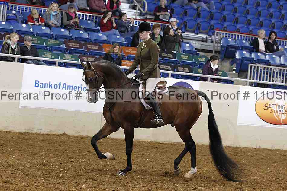 Proof 11usn_00295