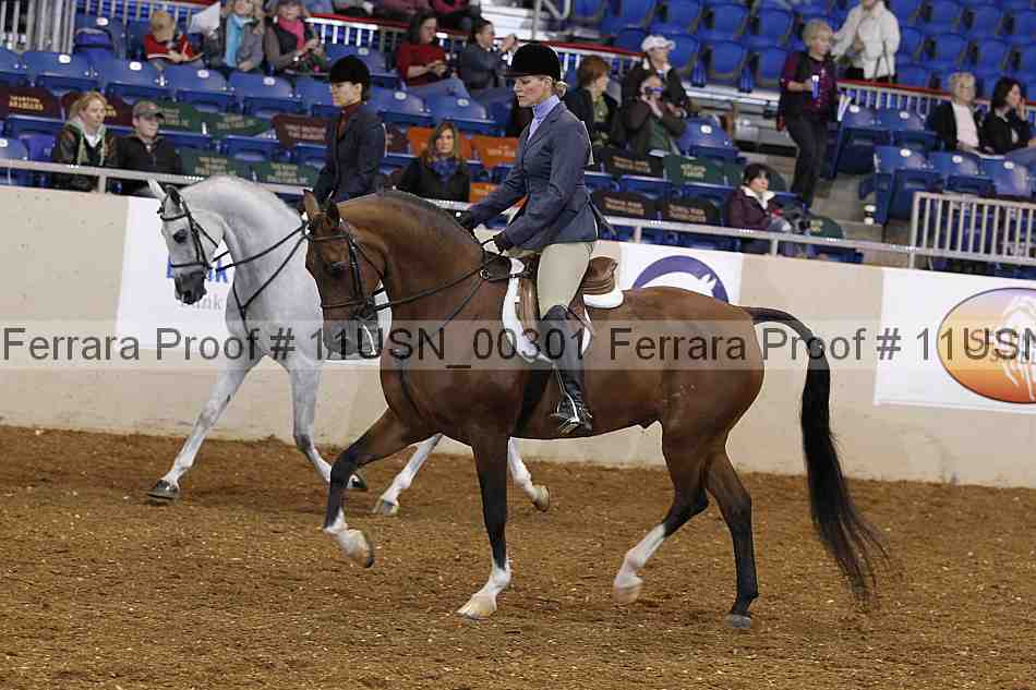 Proof 11usn_00301