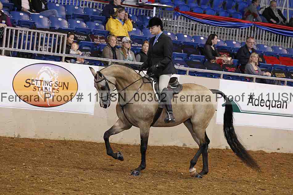 Proof 11usn_00302