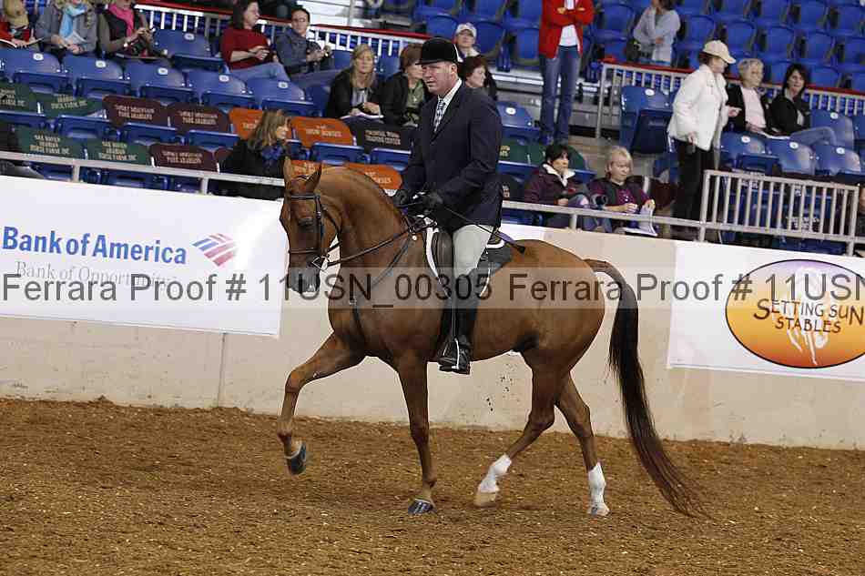 Proof 11usn_00305