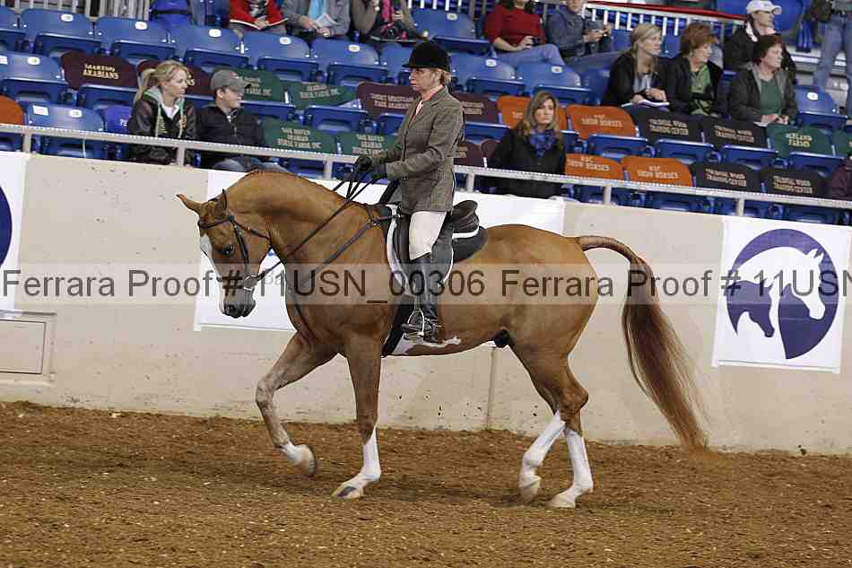 Proof 11usn_00306