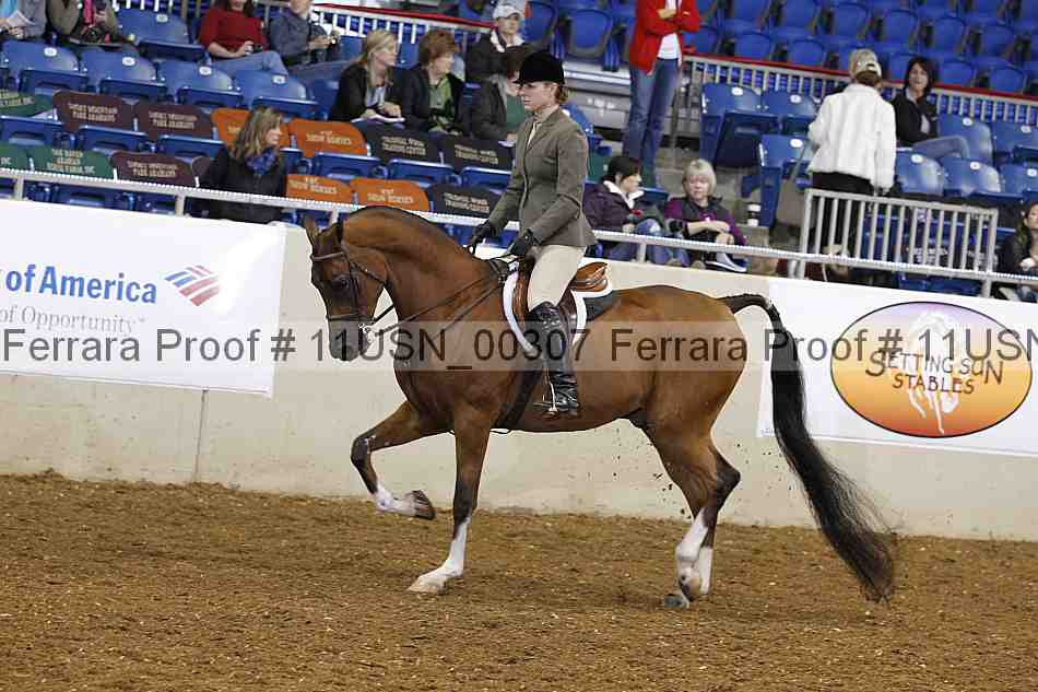 Proof 11usn_00307