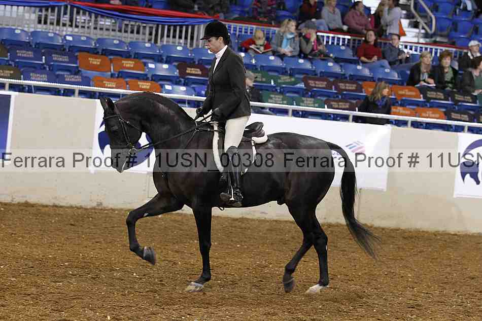 Proof 11usn_00308