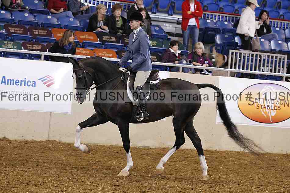Proof 11usn_00309