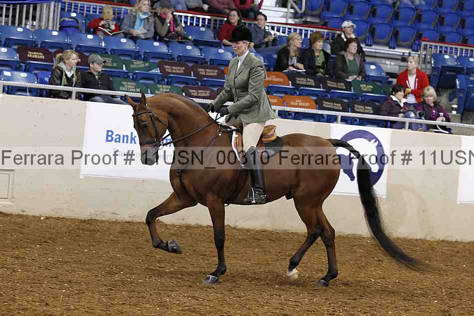 Proof 11usn_00310
