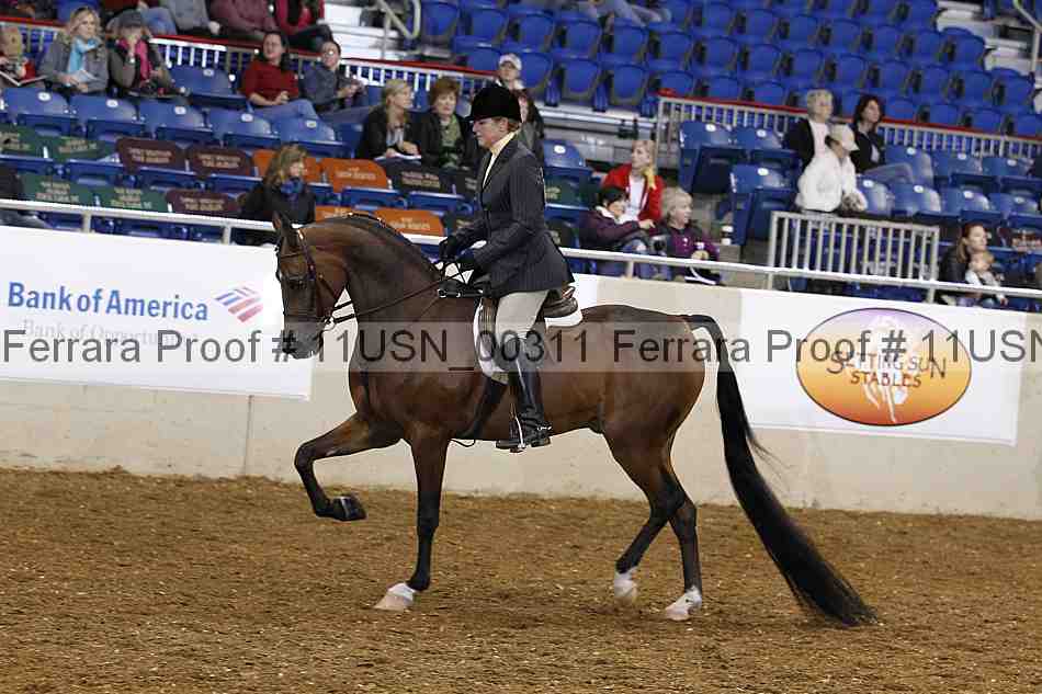 Proof 11usn_00311