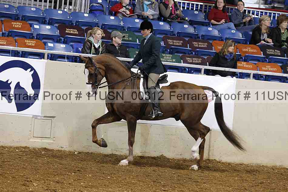 Proof 11usn_00312