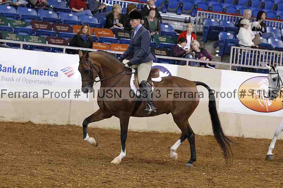 Proof 11usn_00313