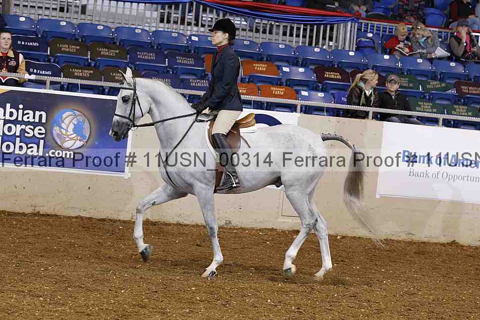 Proof 11usn_00314