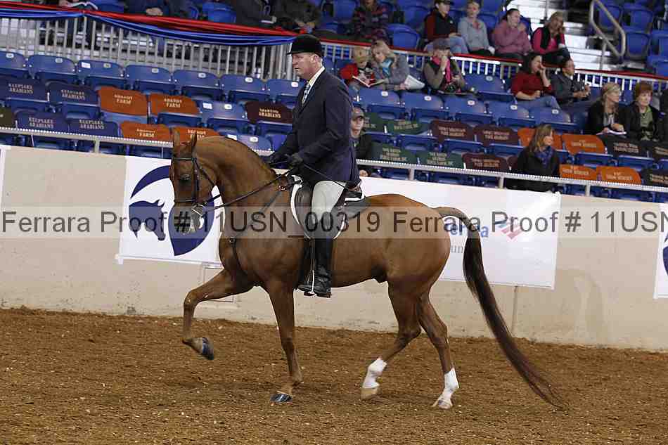 Proof 11usn_00319