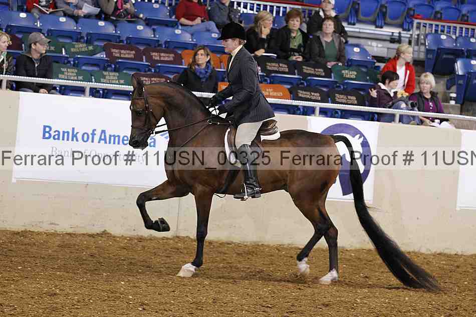 Proof 11usn_00325