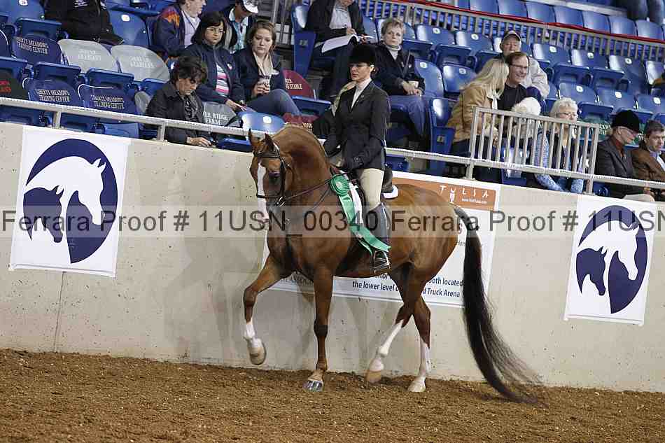Proof 11usn_00340