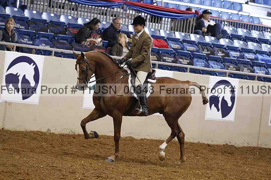 Proof 11usn_00348