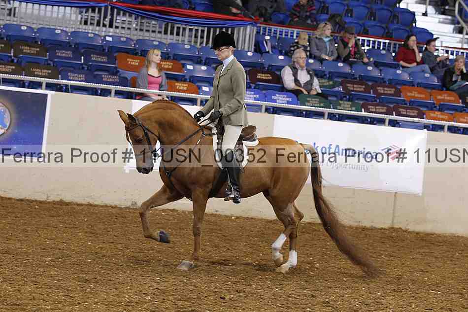 Proof 11usn_00352