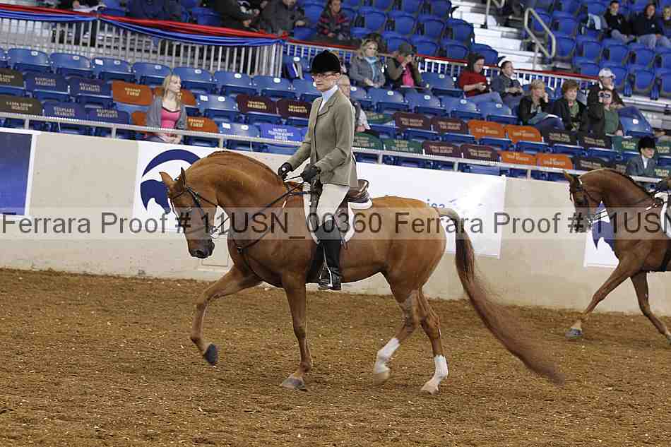 Proof 11usn_00360