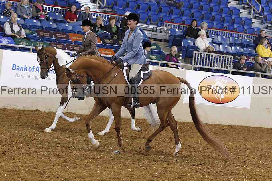 Proof 11usn_00365