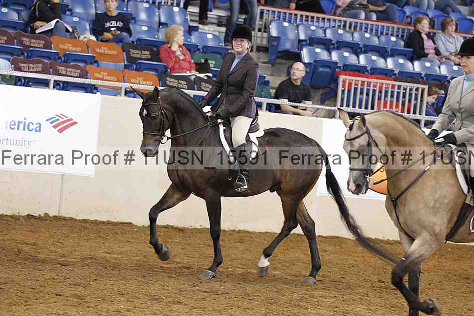 Proof 11usn_15591
