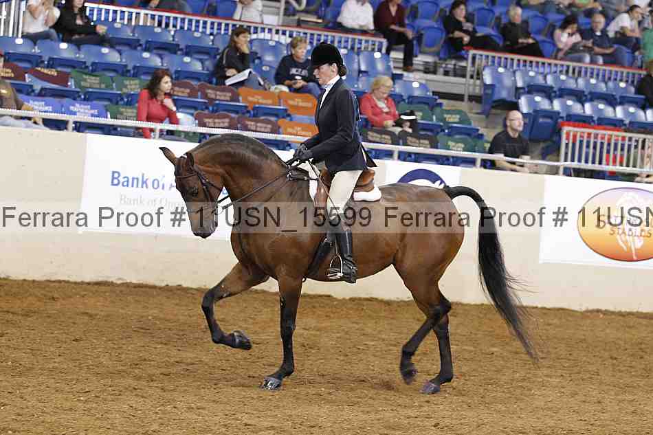 Proof 11usn_15599