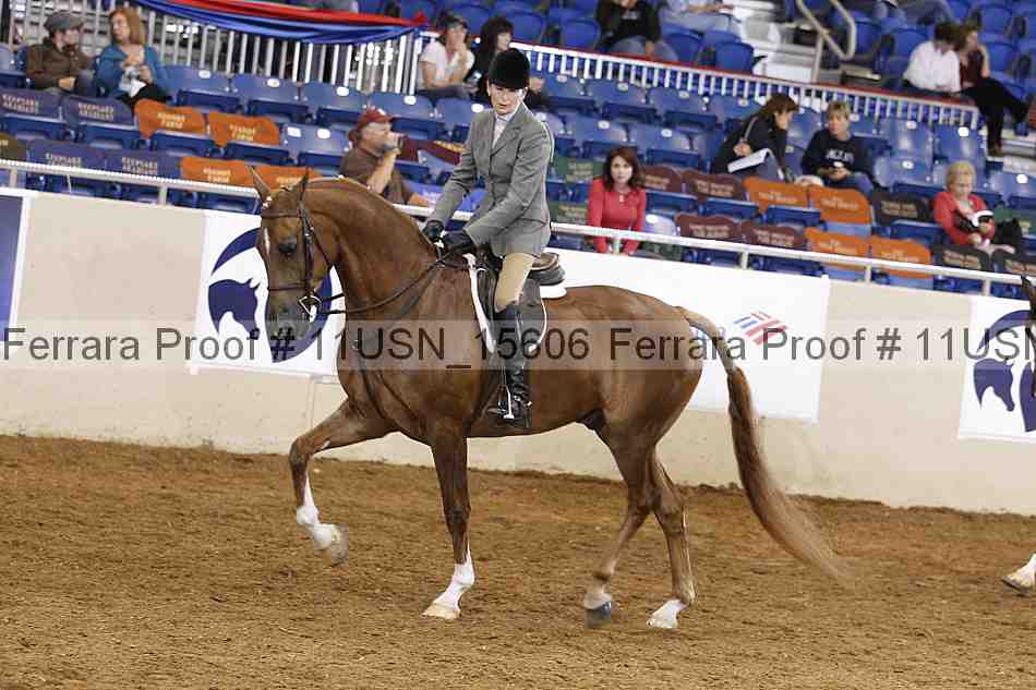 Proof 11usn_15606