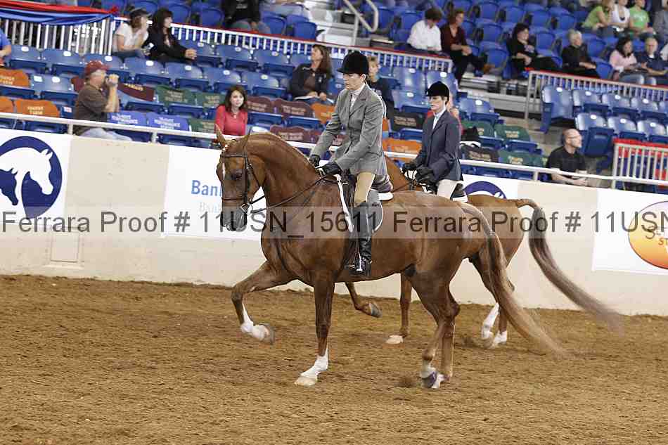 Proof 11usn_15611