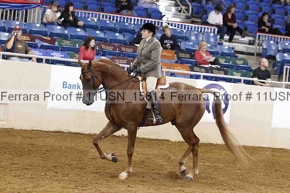 Proof 11usn_15614