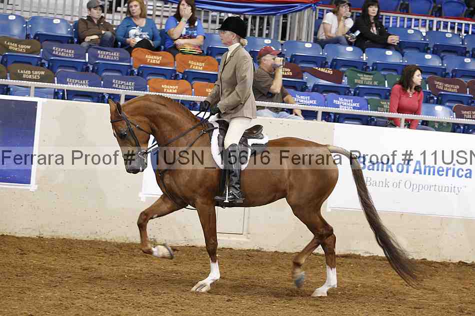 Proof 11usn_15616