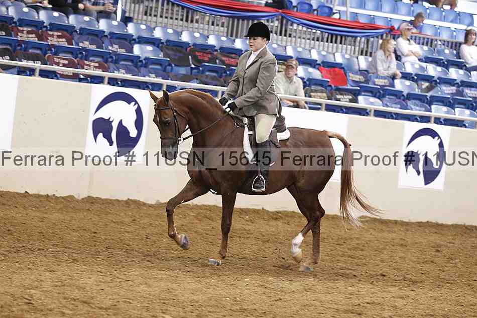 Proof 11usn_15645