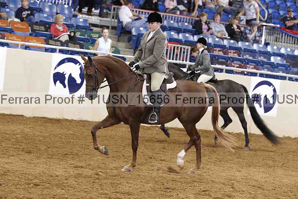 Proof 11usn_15656