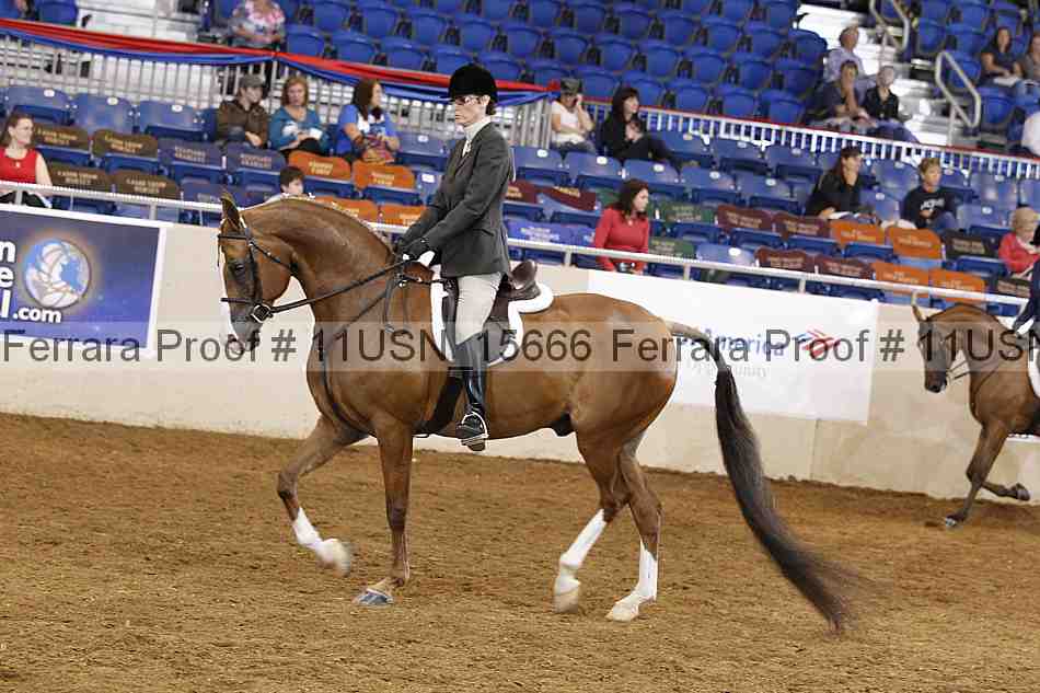Proof 11usn_15666