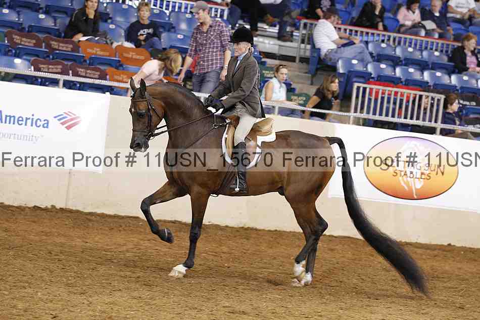 Proof 11usn_15670