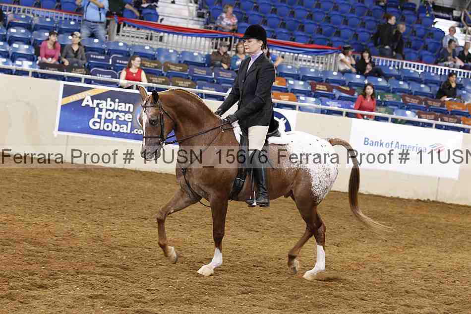 Proof 11usn_15676