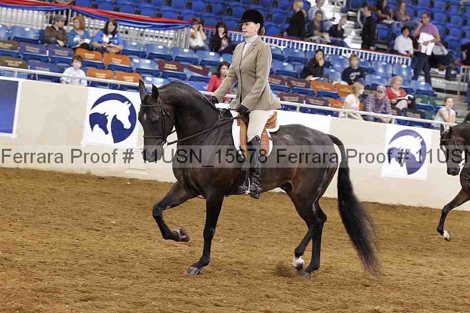 Proof 11usn_15678